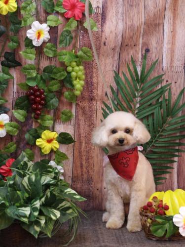 20230803リコちゃん